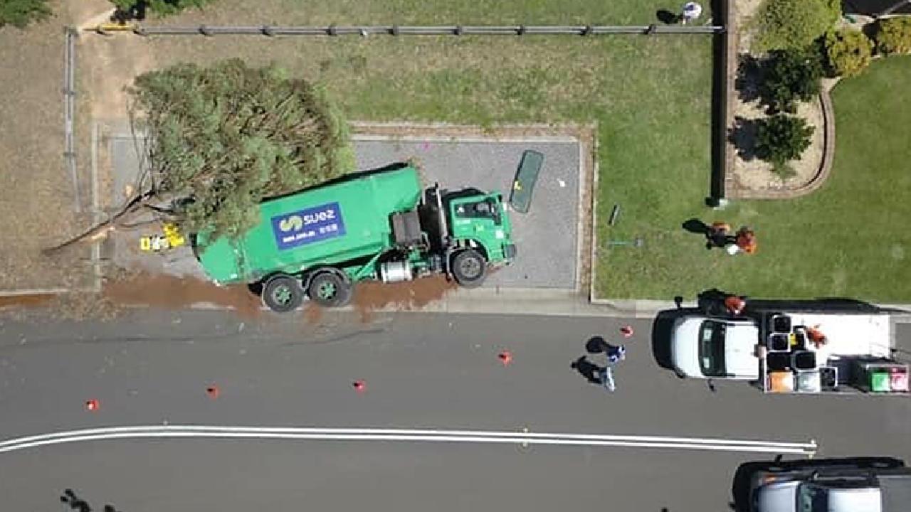 Overhead view of garbage truck with fallen tree.